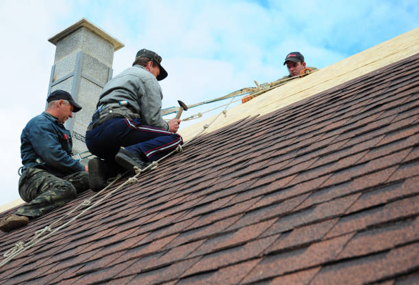 Best Gutter Installation and Roofing  in Myerstown, PA