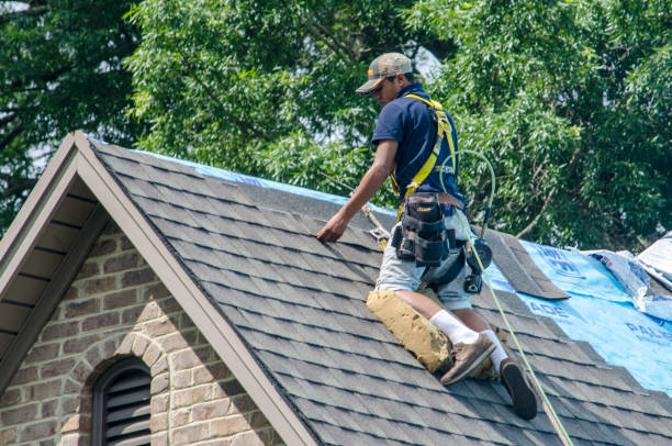 Roof Gutter Cleaning in Myerstown, PA